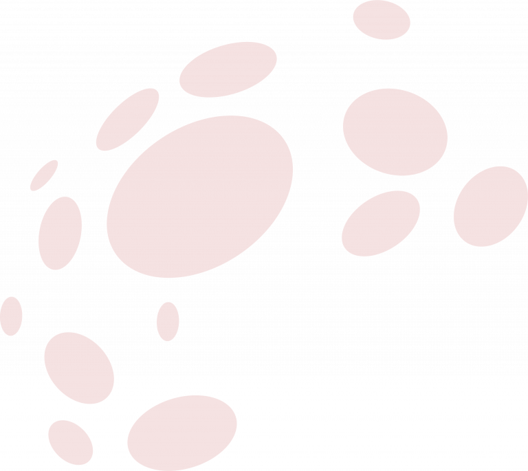 Arcades Rougé centre commercial du centre ville de Cholet